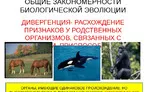 Олимпиада для педагогов ОСНОВЫ СОВРЕМЕННОЙ БИОЛОГИИ. МЕТОДИКА ОБУЧЕНИЯ РАЗДЕЛУ «ОБЩИЕ БИОЛОГИЧЕСКИЕ ЗАКОНОМЕРНОСТИ» ШКОЛЬНОГО КУРСА БИОЛОГИИ.