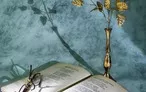 Олимпиада для педагогов ИСПОЛЬЗОВАНИЕ ЭЛЕМЕНТОВ ТЕАТРАЛИЗАЦИИ ПРИ ИЗУЧЕНИИ ПОЭТИЧЕСКИХ ПРОИЗВЕДЕНИЙ