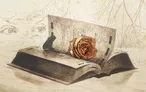Олимпиада для педагогов ТЕОРИЯ И ПРАКТИКА АНАЛИЗА СОВРЕМЕННОГО ЛИТЕРАТУРНОГО ТВОРЧЕСТВА