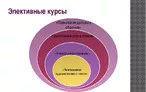 Олимпиада для педагогов ТЕОРИЯ И ПРАКТИКА ЭЛЕКТИВНОГО КУРСА