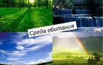 Олимпиада для педагогов РОЛЬ ЧЕЛОВЕЧЕСКОГО ФАКТОРА В УПРАВЛЕНИИ РИСКАМИ И ОБЕСПЕЧЕНИИ БЕЗОПАСНОСТИ СИСТЕМЫ «ЧЕЛОВЕК - СРЕДА ОБИТАНИЯ» ТЕХНИЧЕСКИХ И ТЕХНОЛОГИЧЕСКИХ СИСТЕМ И ПРОЦЕССОВ.