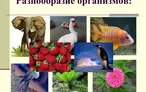 Олимпиада для педагогов ЭЛЕМЕНТ СОДЕРЖАНИЯ 