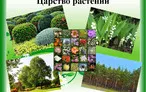 Олимпиада для педагогов ЭЛЕМЕНТ СОДЕРЖАНИЯ «ЦАРСТВО РАСТЕНИЯ. СТРОЕНИЕ И ЖИЗНЕДЕЯТЕЛЬНОСТЬ РАСТЕНИЙ»