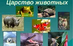 Олимпиада для педагогов ЭЛЕМЕНТ СОДЕРЖАНИЯ 