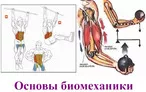 Олимпиада для педагогов ОСНОВЫ БИОМЕХАНИКИ.